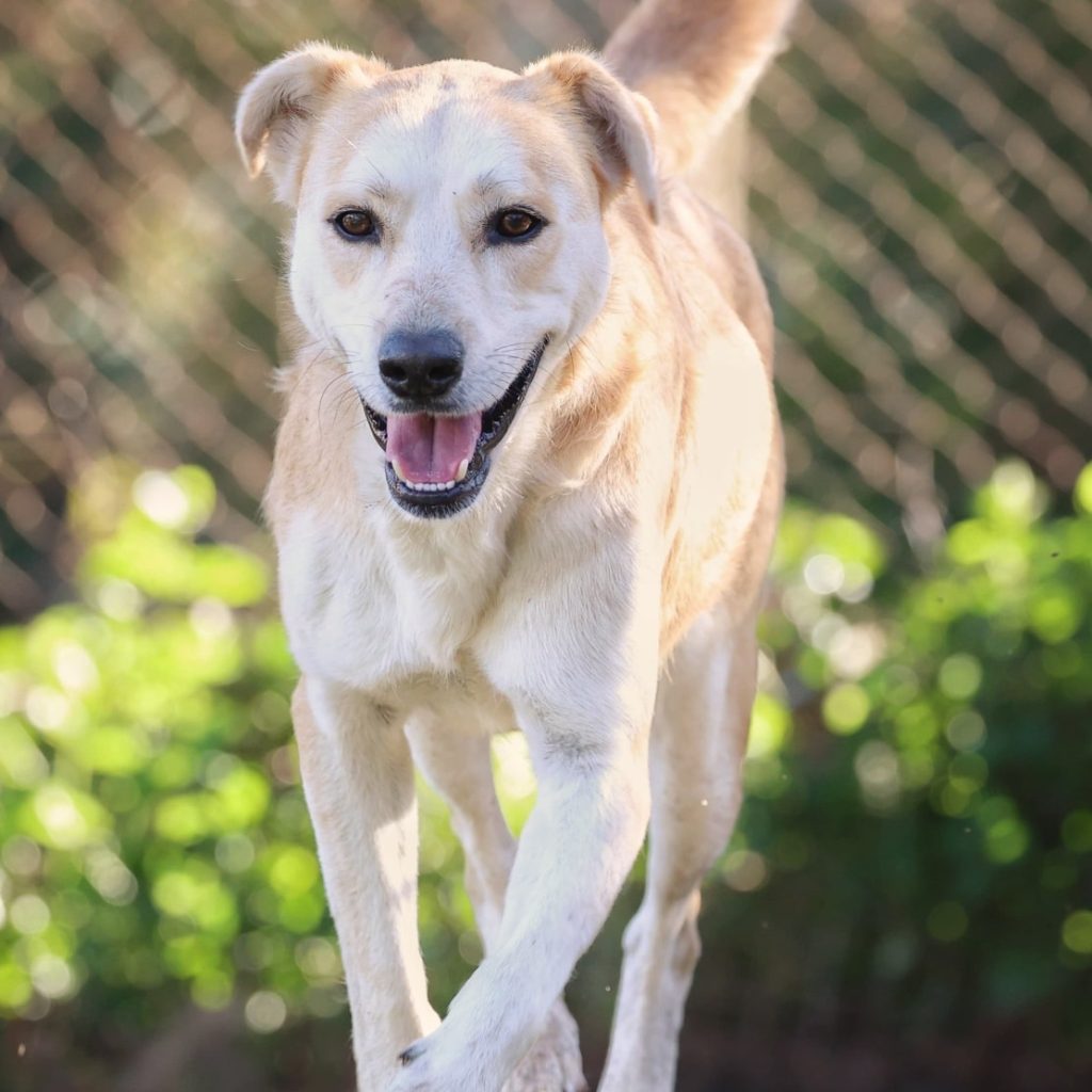 512689306_1254535672730620_2777651191667855592_n