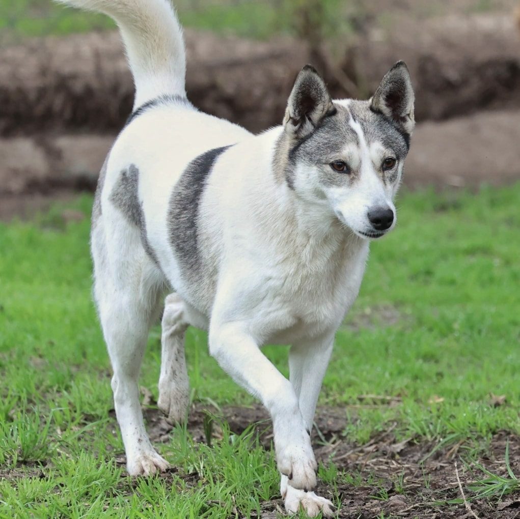 523955904_1277460027104851_430441279320099880_n