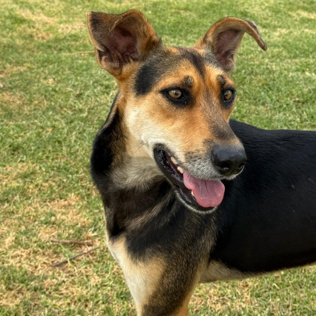 593541414_1386378939546292_5558412307636365026_n