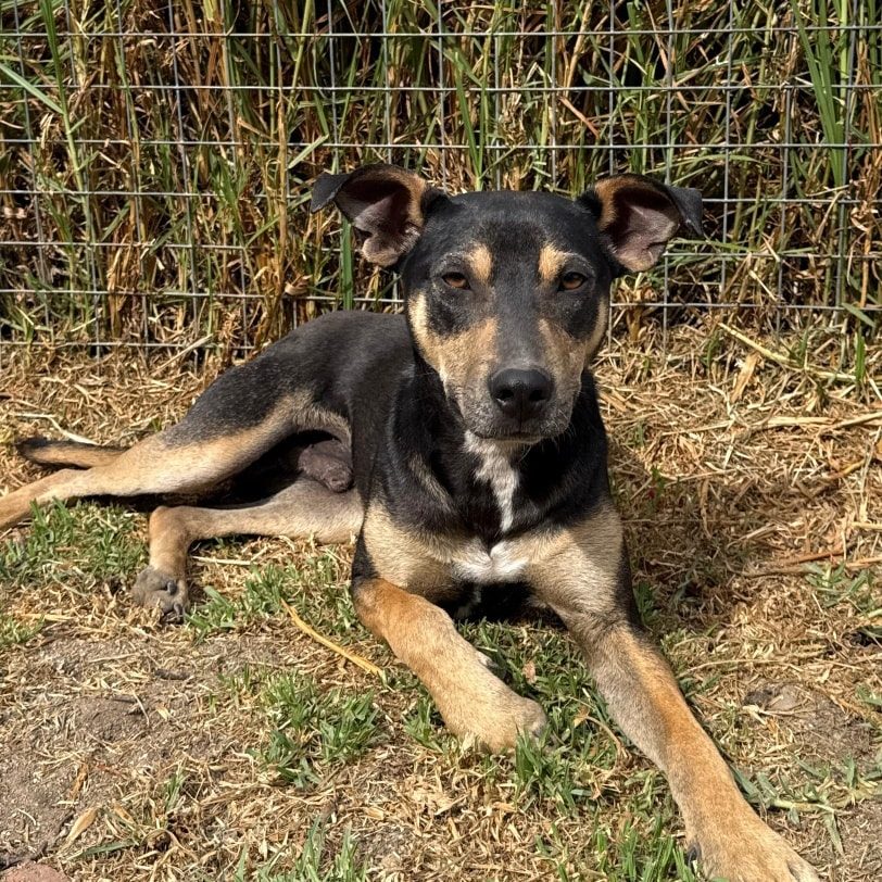 594079503_1388630329321153_8557001665355921411_n