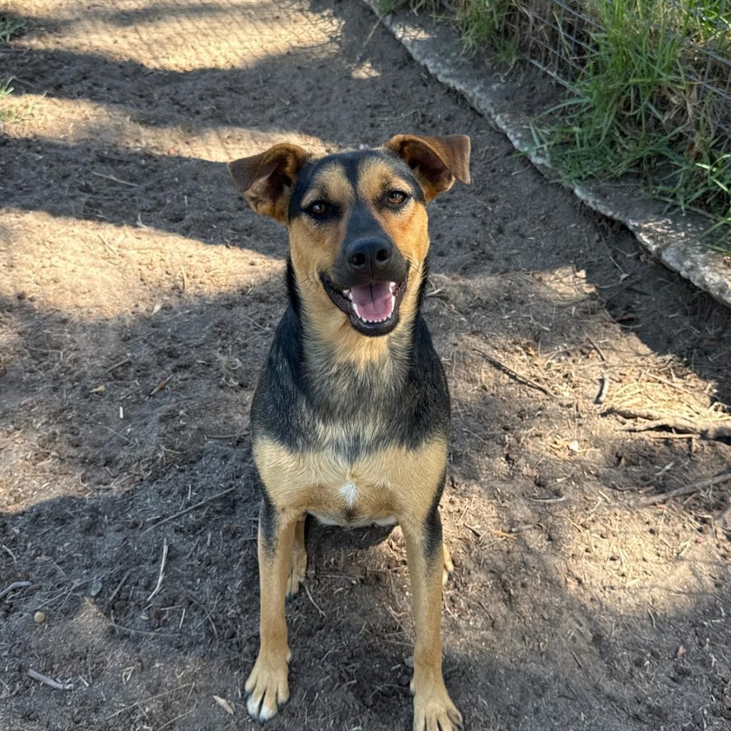 598217206_1398081125042740_8184920431577085170_n