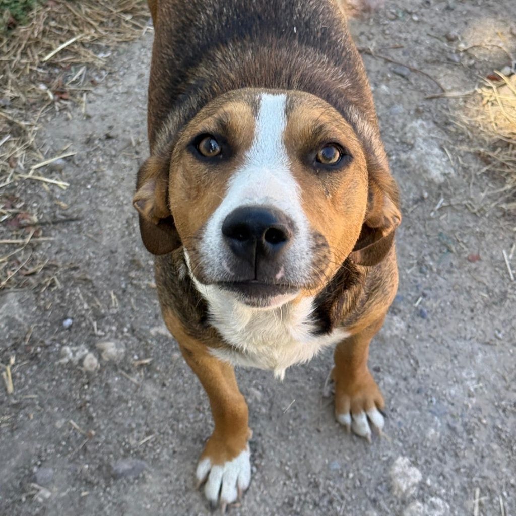 598517078_1391508679033318_5001338325866140335_n