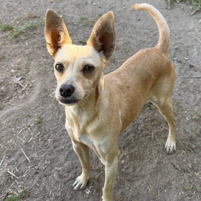 598848337_1392316012285918_4888727000396463030_n