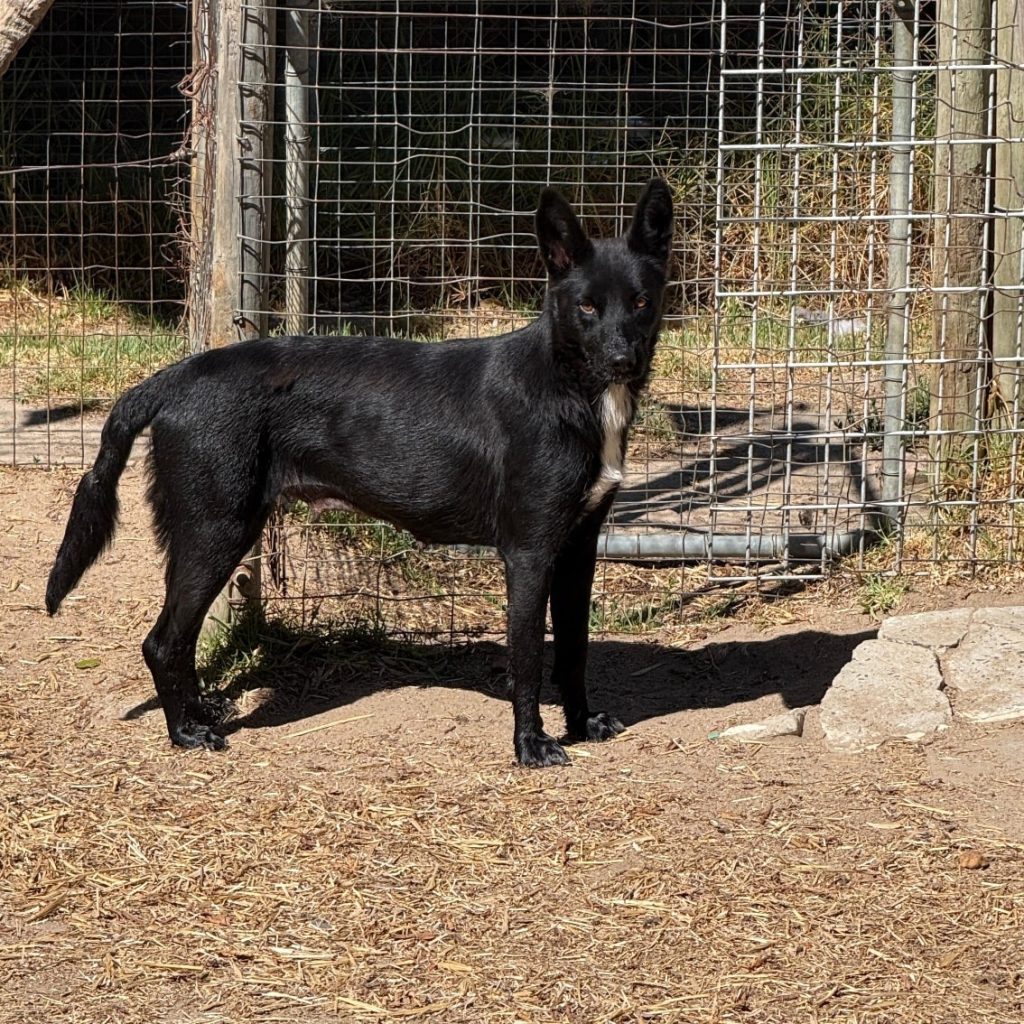 615434709_1418689499648569_1116485973842984870_n