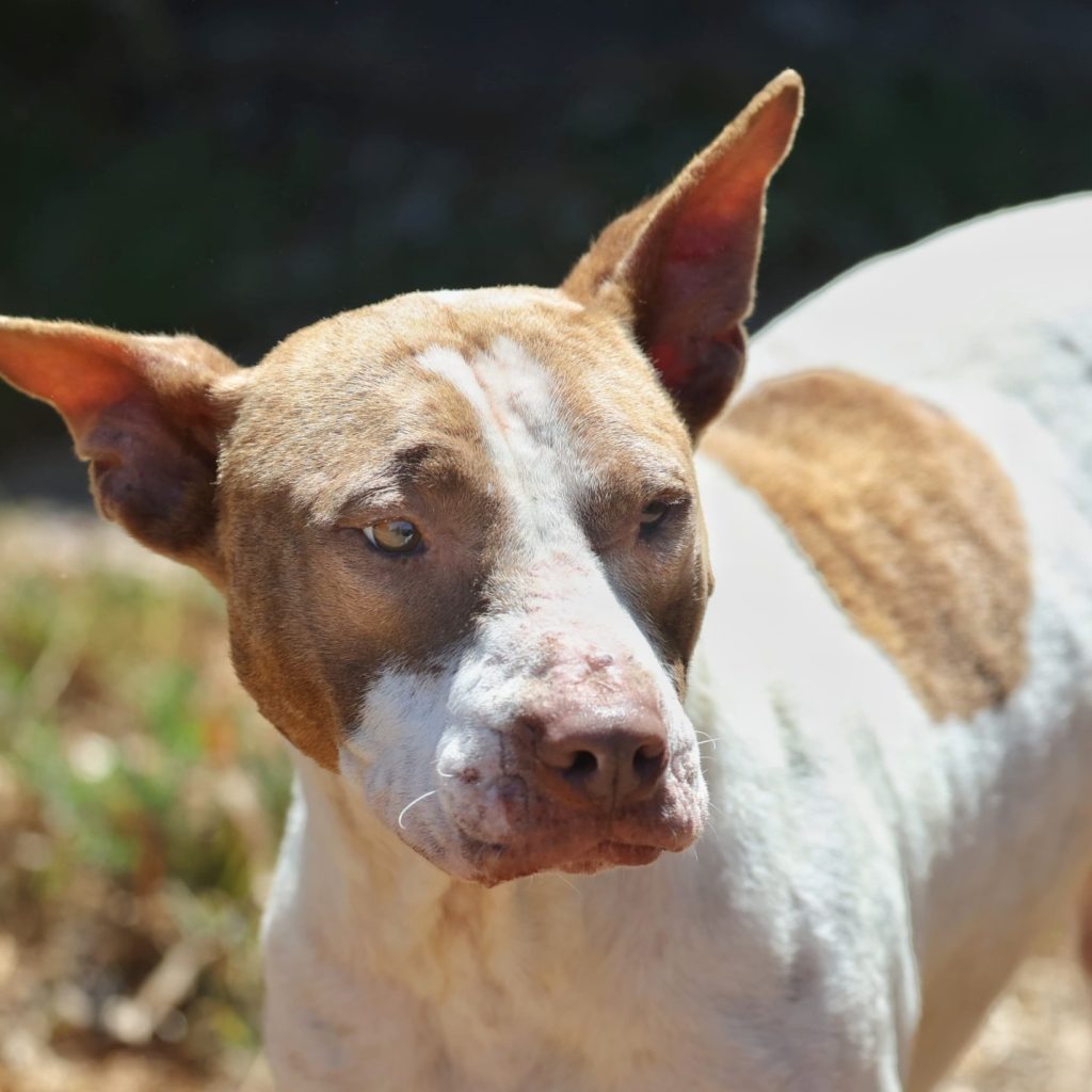 623407453_1429463458571173_495418835318435609_n