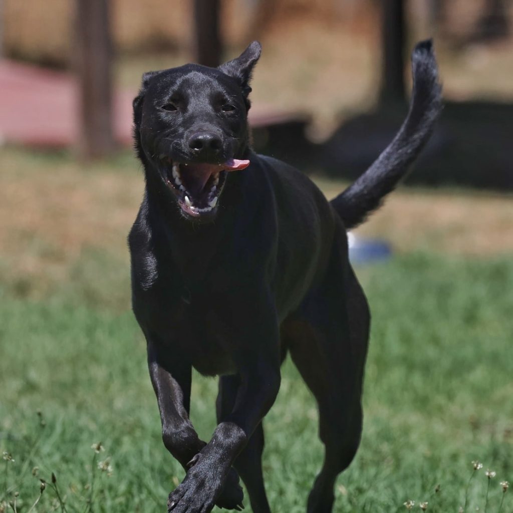 624538539_1431054845078701_5036004411934904023_n