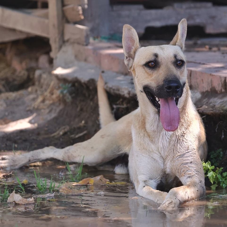 625174400_1430227515161434_6309545567426788966_n