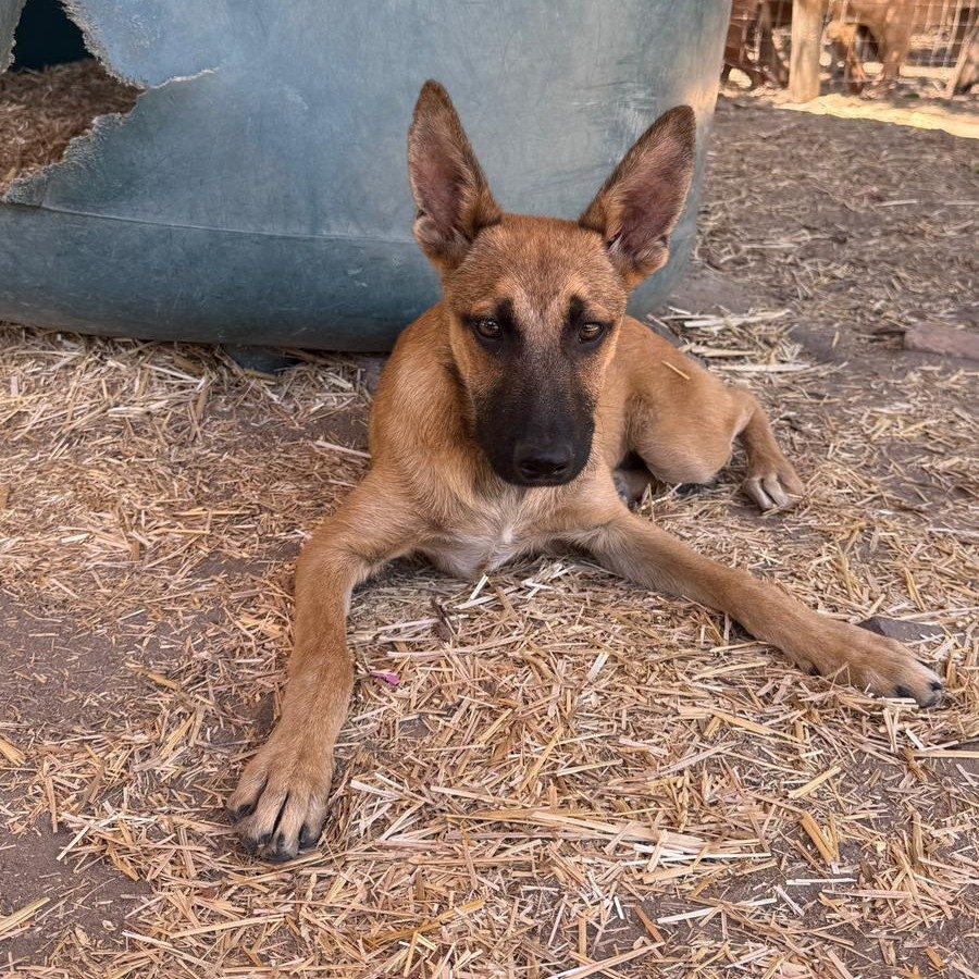 627124429_1432636901587162_8727583619419067619_n