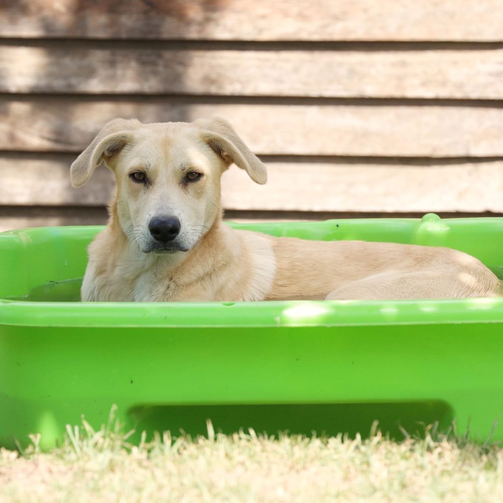 628811433_1446449376872581_4386087170690993895_n