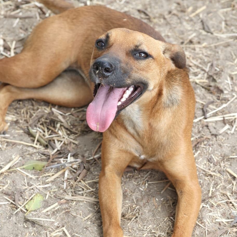 636335159_1444815887035930_156243503113251541_n