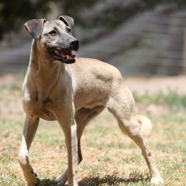 WhatsApp Image 2025-01-09 at 08.42.14_6a889fcf