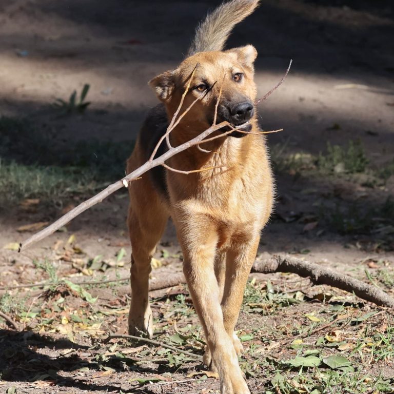 WhatsApp Image 2025-04-23 at 20.25.54_c555b0d2