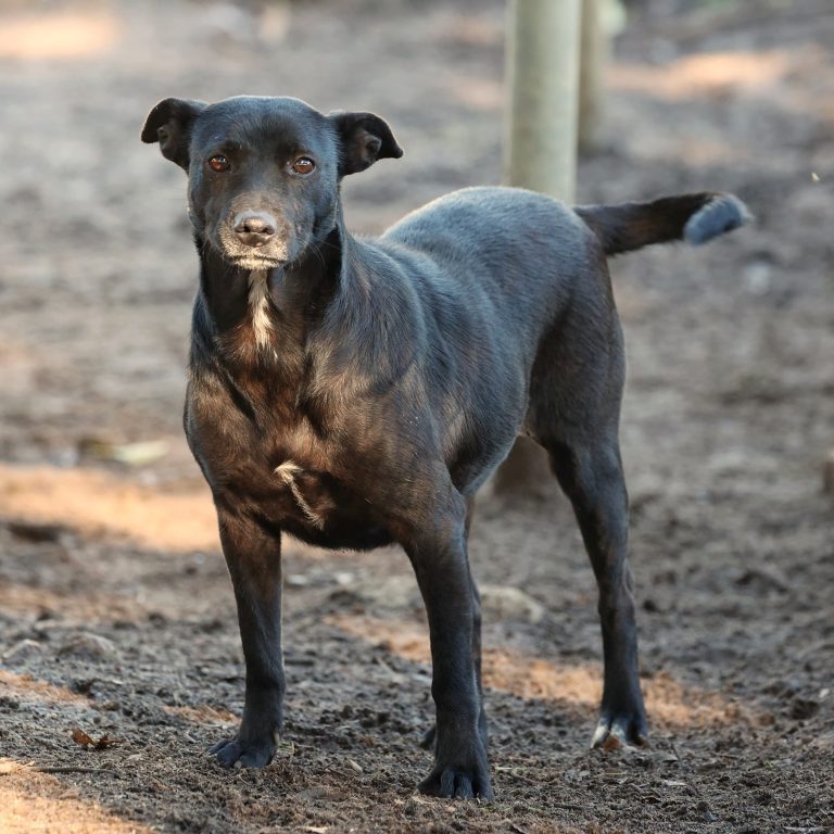 WhatsApp Image 2025-06-04 at 20.23.22_f3663f57