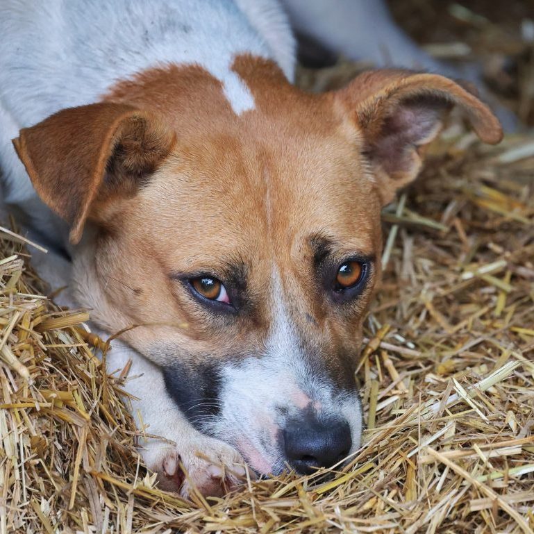 WhatsApp Image 2025-06-19 at 06.51.14_8166356b