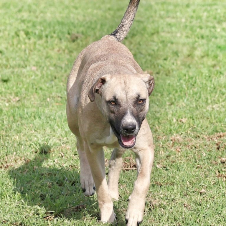 WhatsApp Image 2025-07-09 at 17.40.04_f44bb7bc