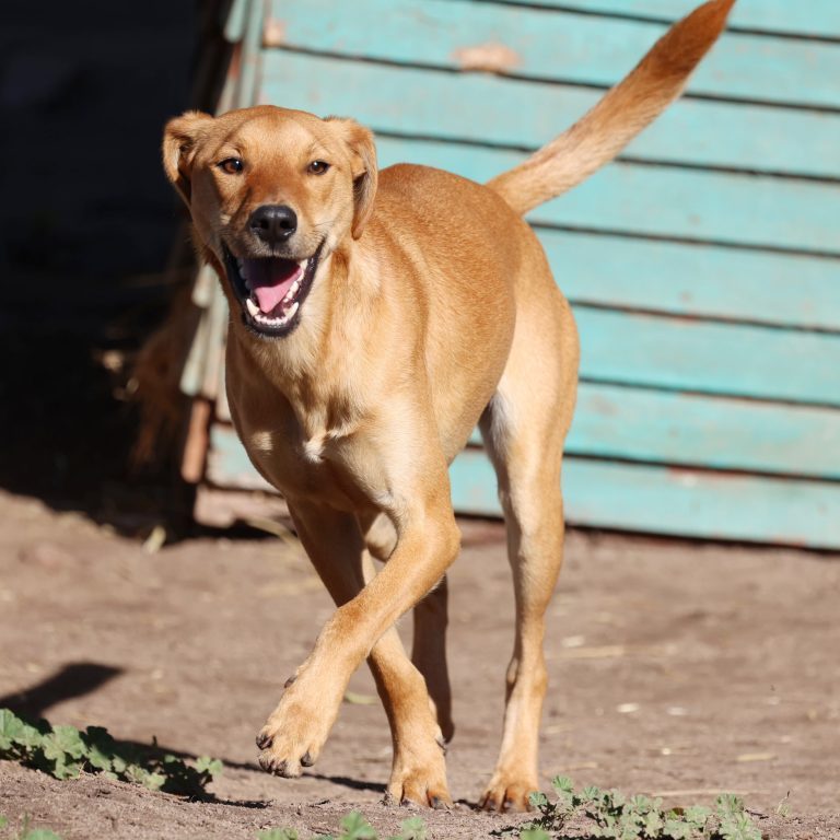 WhatsApp Image 2025-07-16 at 16.19.43_dc654c09