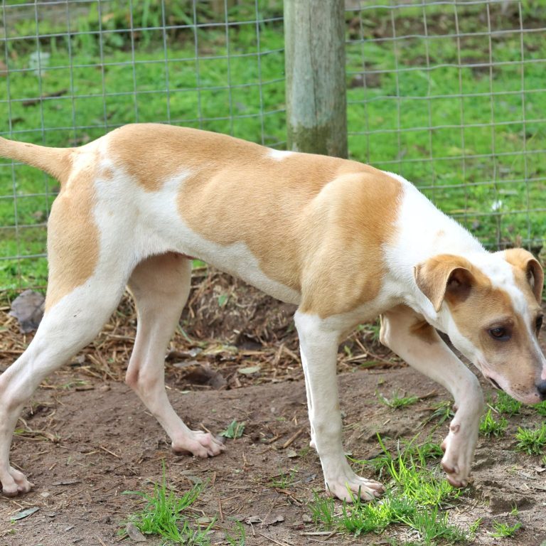 WhatsApp Image 2025-08-06 at 19.23.30_da66bf8e