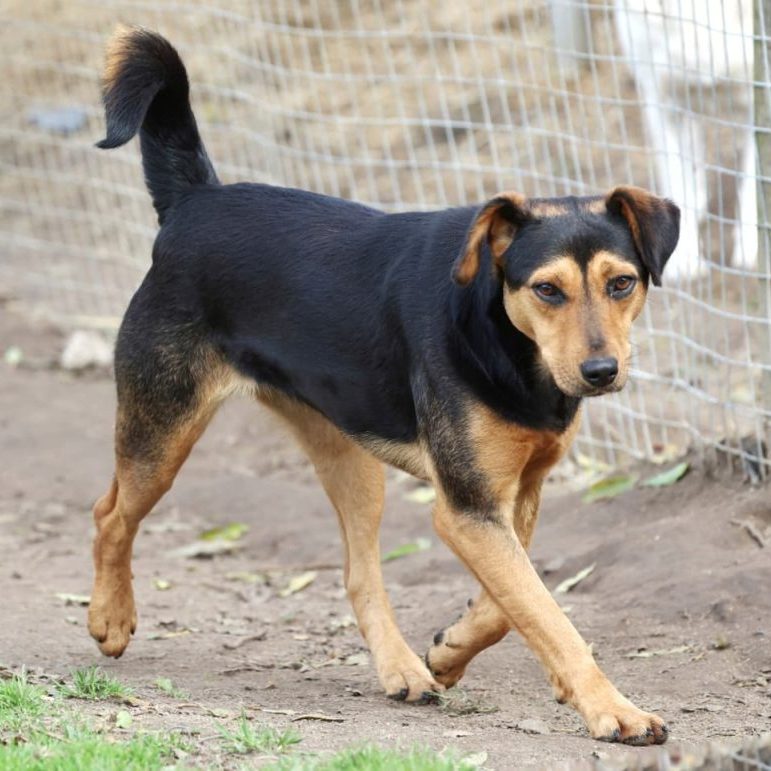 WhatsApp Image 2025-08-21 at 11.44.57_a2826785