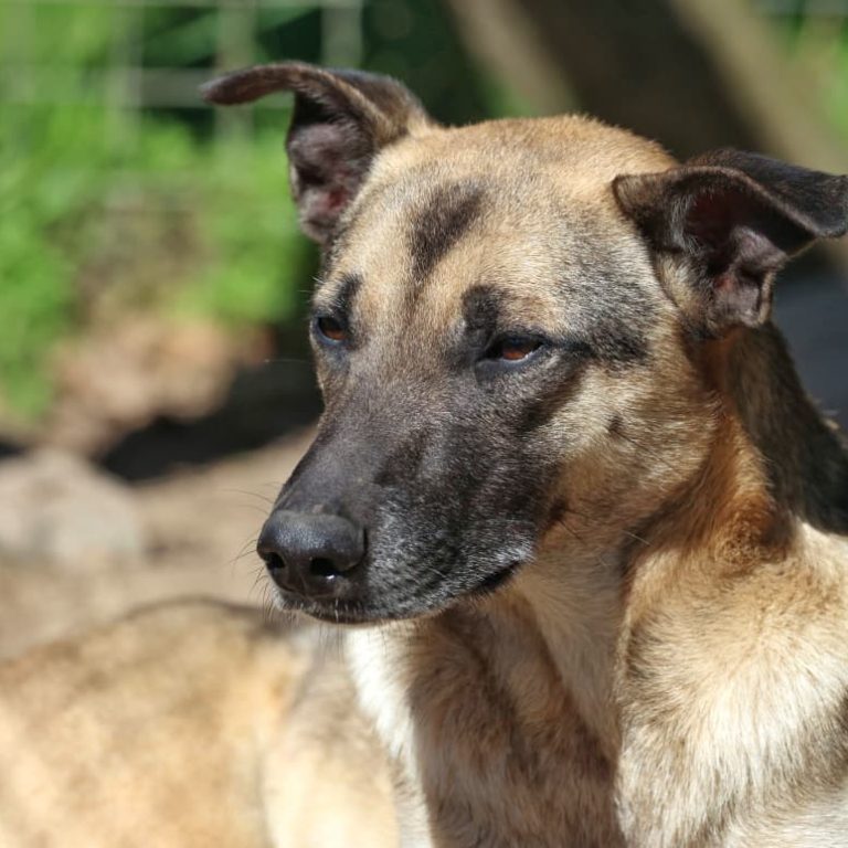 WhatsApp Image 2025-08-27 at 20.57.01_4c54d35a