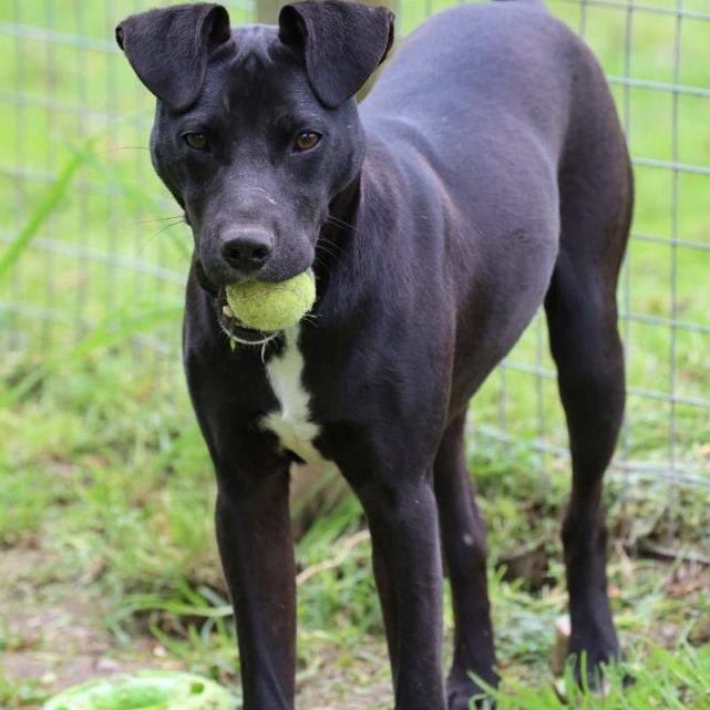 WhatsApp Image 2025-09-17 at 17.35.23_fff1b610