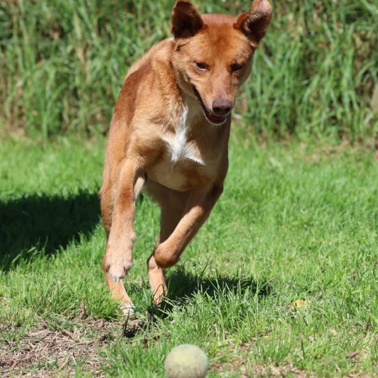 WhatsApp Image 2025-09-24 at 15.42.24_511a1bf7