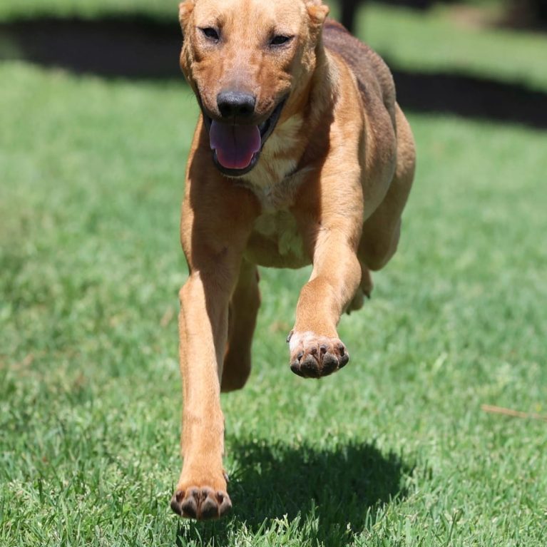 WhatsApp Image 2025-10-03 at 11.43.42_b6ee19fd