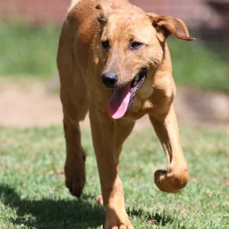 WhatsApp Image 2025-10-03 at 11.46.03_2f980192