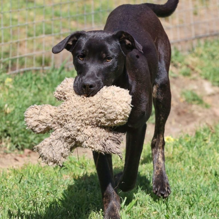 WhatsApp Image 2025-10-03 at 11.47.23_11a32f70