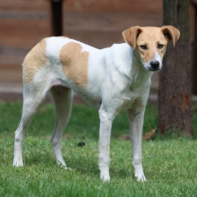 WhatsApp Image 2025-10-10 at 22.35.00_9b32269e