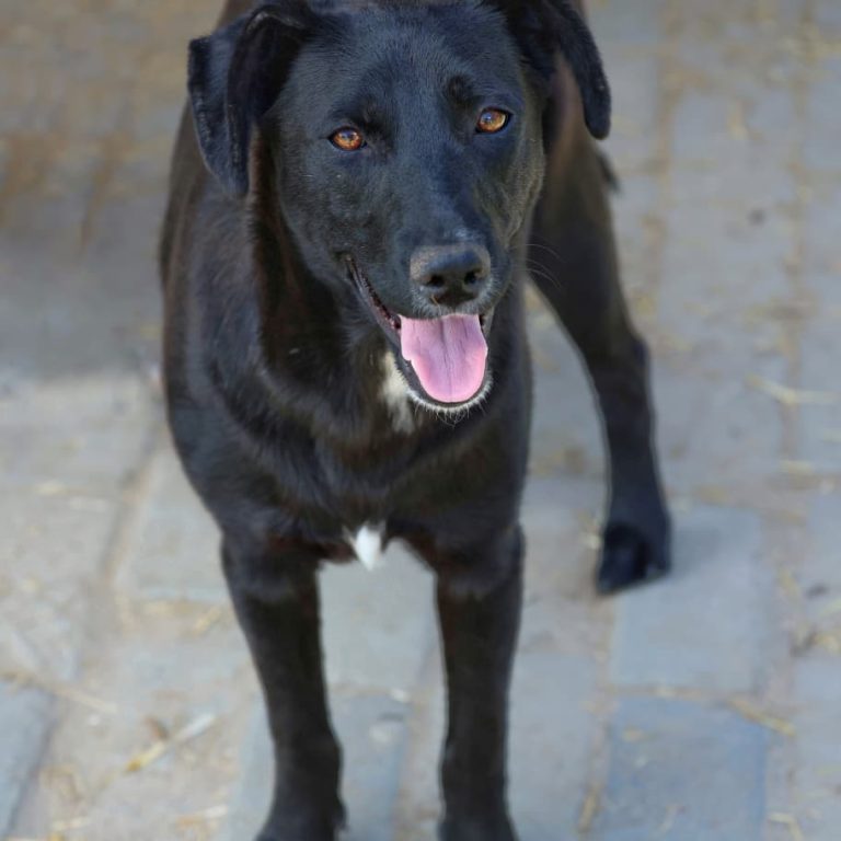 WhatsApp Image 2025-10-10 at 22.37.10_b8b45e0f