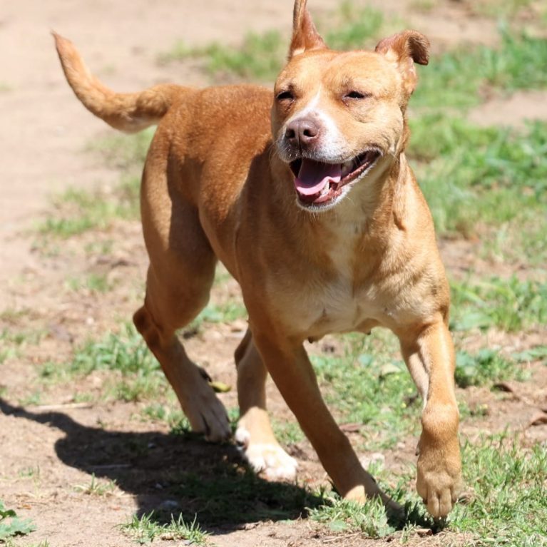 WhatsApp Image 2025-10-10 at 22.39.20_38d3088a