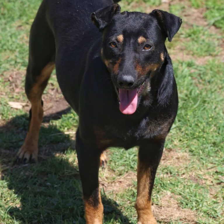 WhatsApp Image 2025-10-10 at 22.40.11_6df9a780