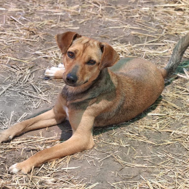 WhatsApp Image 2025-11-06 at 18.15.01_ac8d3a92