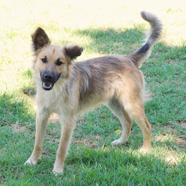 WhatsApp Image 2025-11-07 at 14.22.18_da7c6ab3