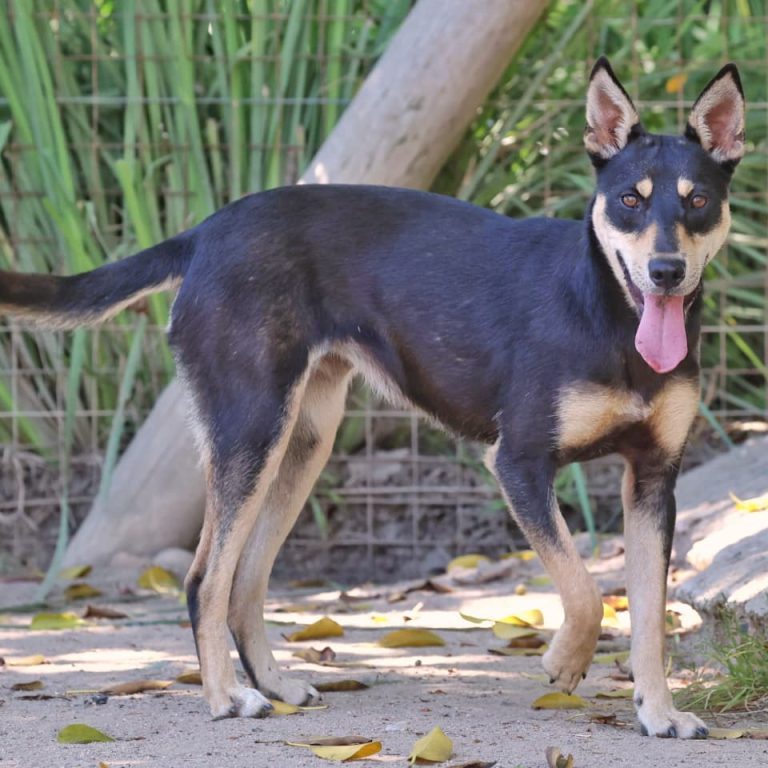 WhatsApp Image 2025-11-07 at 14.22.55_e36c5be6