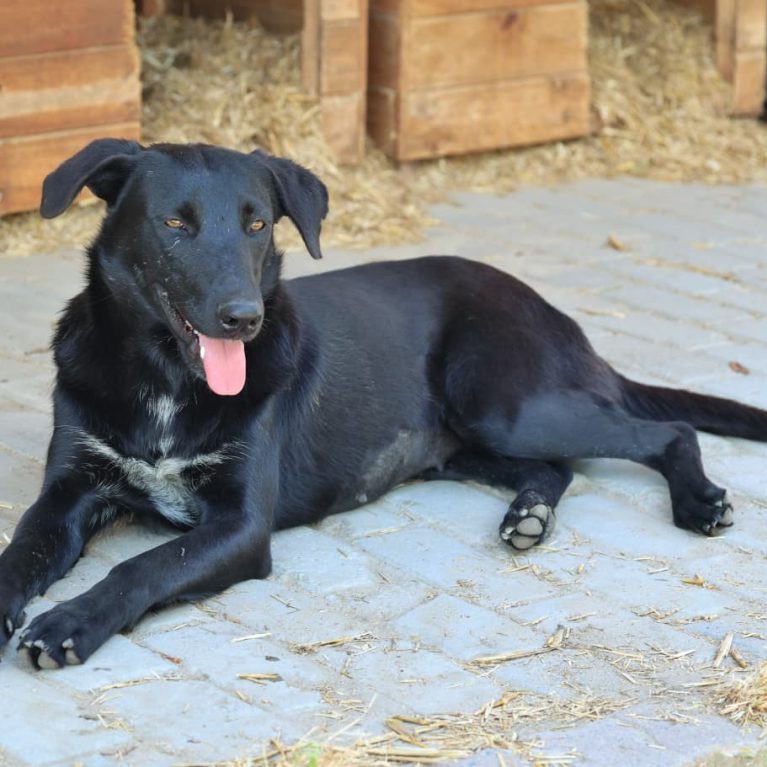 WhatsApp Image 2025-11-12 at 19.57.52_3bbd3ba5