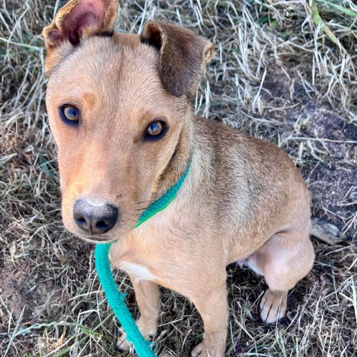 WhatsApp Image 2025-12-29 at 10.18.42