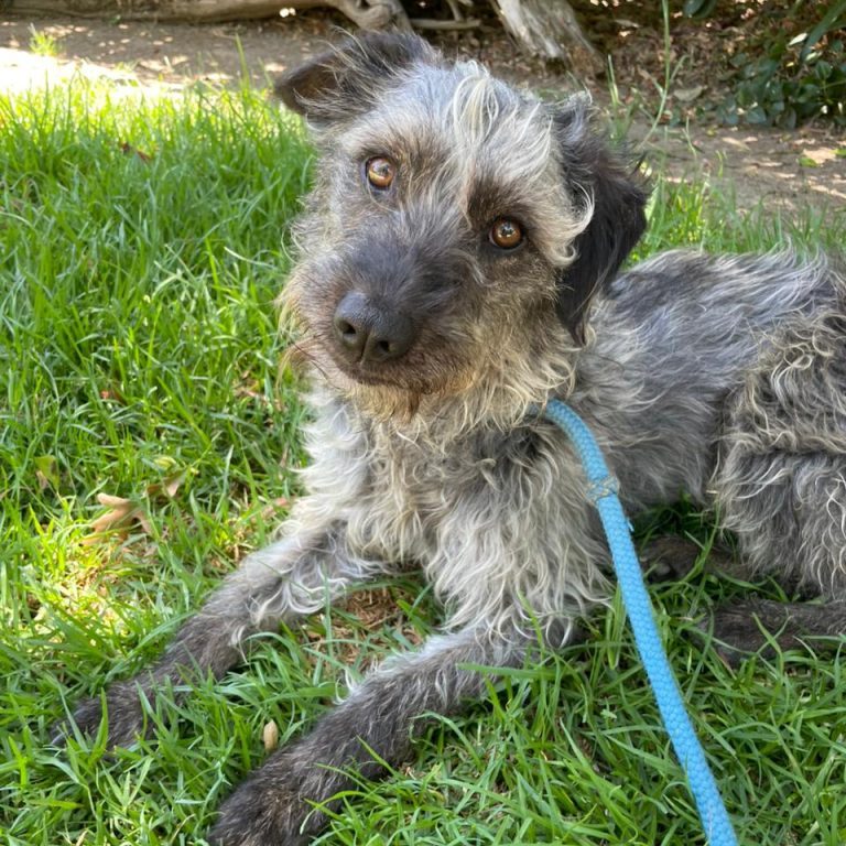 WhatsApp Image 2026-01-01 at 12.48.57