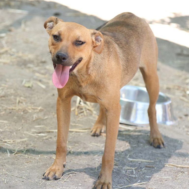 WhatsApp Image 2026-01-22 at 10.46.52