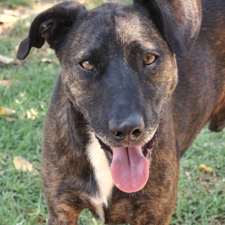 WhatsApp Image 2026-01-22 at 11.21.25