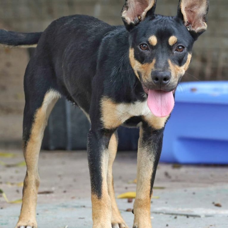 WhatsApp Image 2026-02-04 at 18.57.12