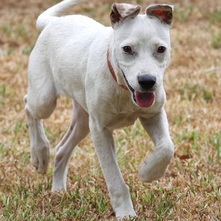 WhatsApp Image 2026-02-04 at 19.18.17