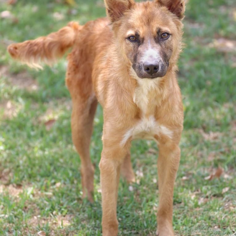 WhatsApp Image 2026-02-19 at 08.50.19