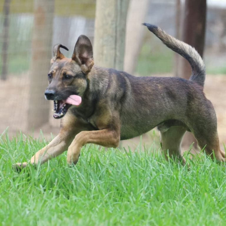 WhatsApp Image 2026-02-27 at 07.57.03