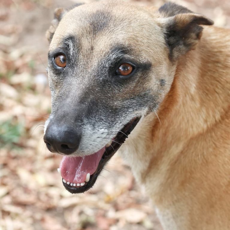 WhatsApp Image 2026-02-27 at 08.51.23