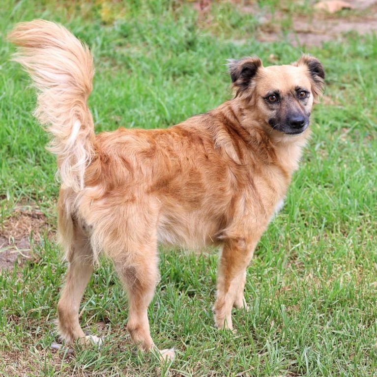 WhatsApp Image 2026-02-27 at 09.06.55