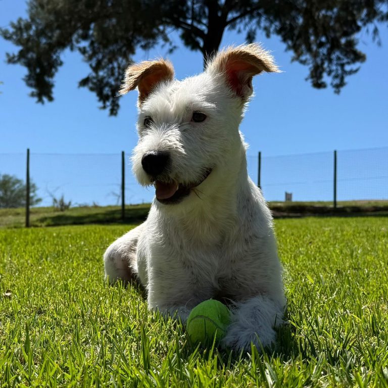 WhatsApp Image 2026-03-08 at 15.33.43